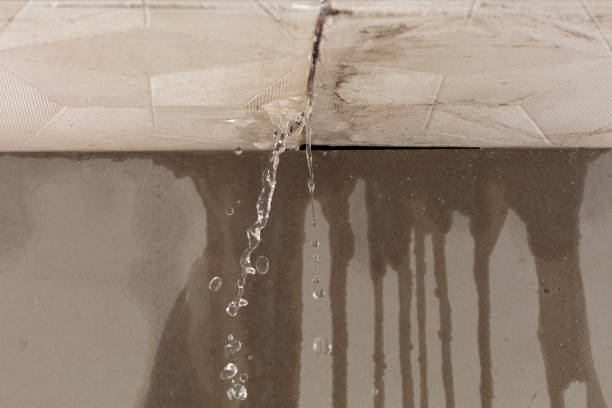 Professional Burst Pipe Cleanup technician working in Deer Isle, ME